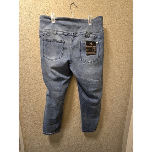 NWT DG2 By Diana Gilman Suddenly Slim Pull On Skinny Jean PXL - Picture 6 of 6